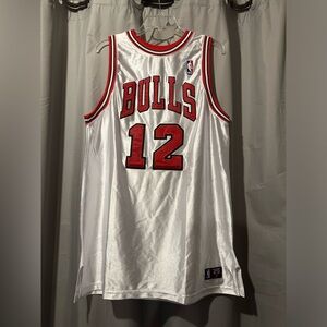 Kirk Hinrich Chicago Bulls # 12 jersey. Size large like new.
